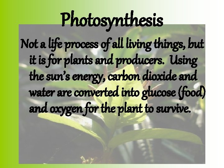 Photosynthesis Not a life process of all living things, but it is for plants