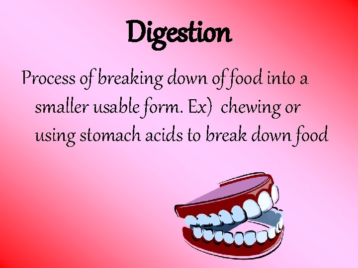 Digestion Process of breaking down of food into a smaller usable form. Ex) chewing