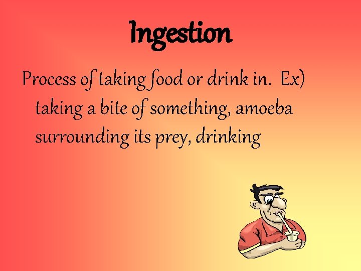 Ingestion Process of taking food or drink in. Ex) taking a bite of something,