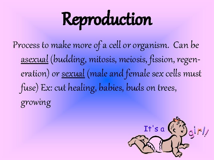 Reproduction Process to make more of a cell or organism. Can be asexual (budding,