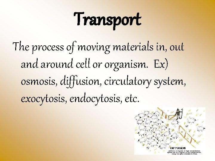 Transport The process of moving materials in, out and around cell or organism. Ex)