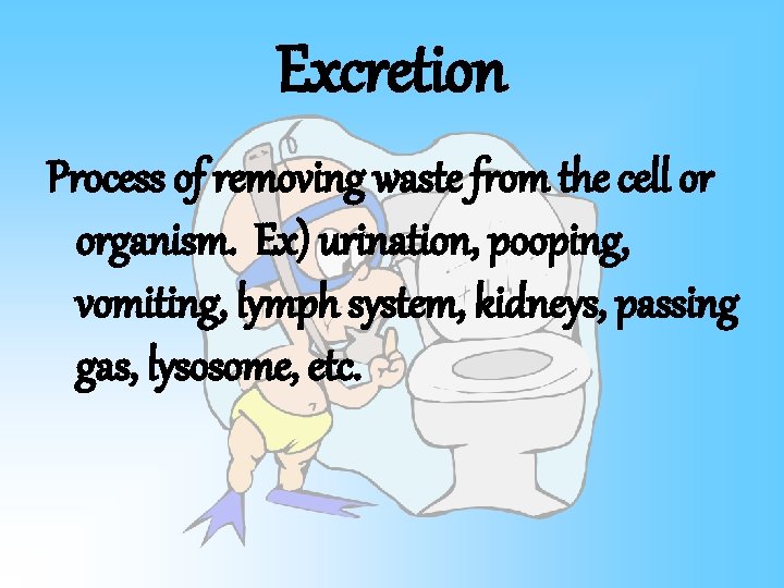 Excretion Process of removing waste from the cell or organism. Ex) urination, pooping, vomiting,