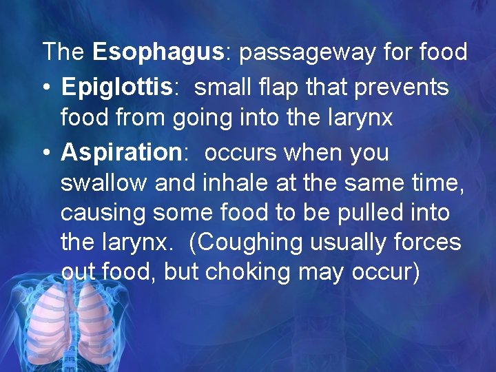 The Esophagus: passageway for food • Epiglottis: small flap that prevents food from going