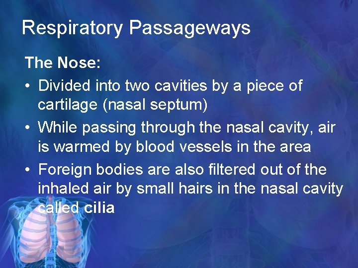 Respiratory Passageways The Nose: • Divided into two cavities by a piece of cartilage