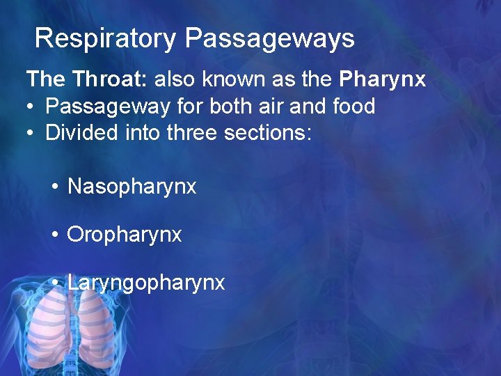 Respiratory Passageways The Throat: also known as the Pharynx • Passageway for both air