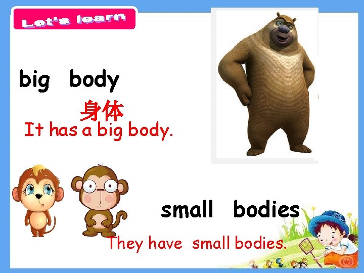 big body 身体 It has a big body. small bodies They have small bodies.