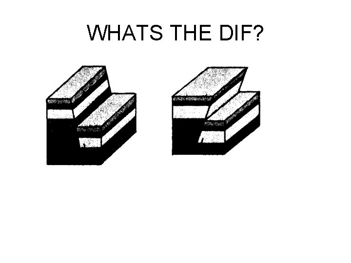 WHATS THE DIF? 