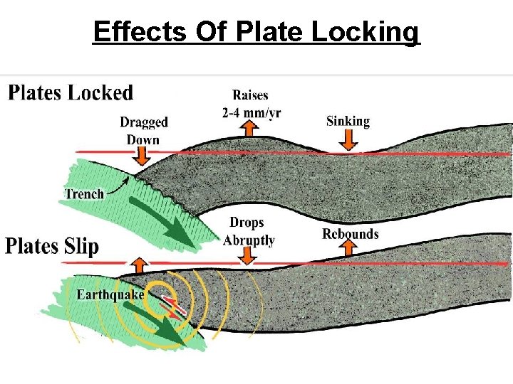 Effects Of Plate Locking 