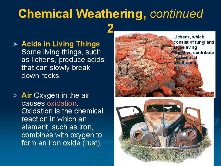 Chemical Weathering, continued 2 Ø Acids in Living Things Some living things, such as