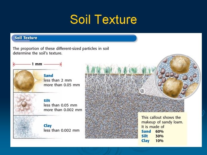 Soil Texture 