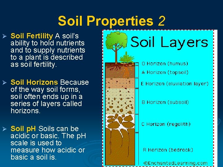 Soil Properties 2 Ø Soil Fertility A soil’s ability to hold nutrients and to