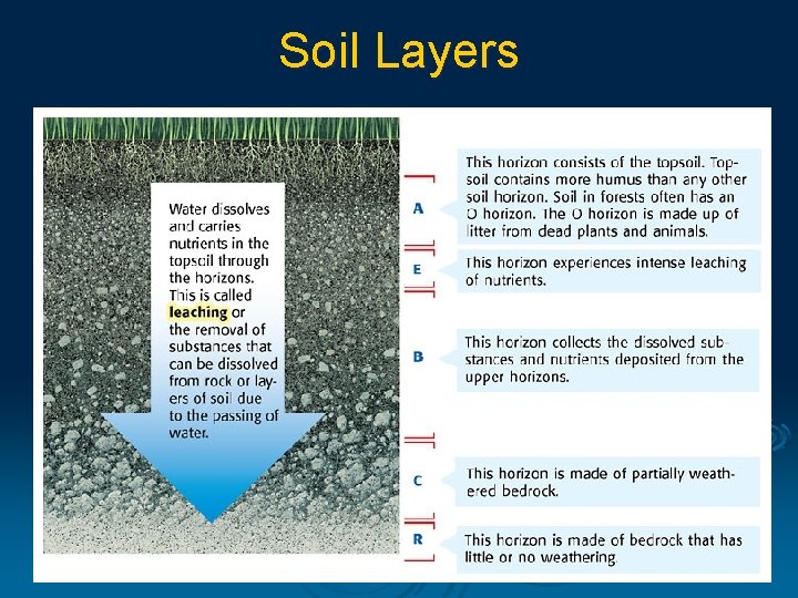 Soil Layers 