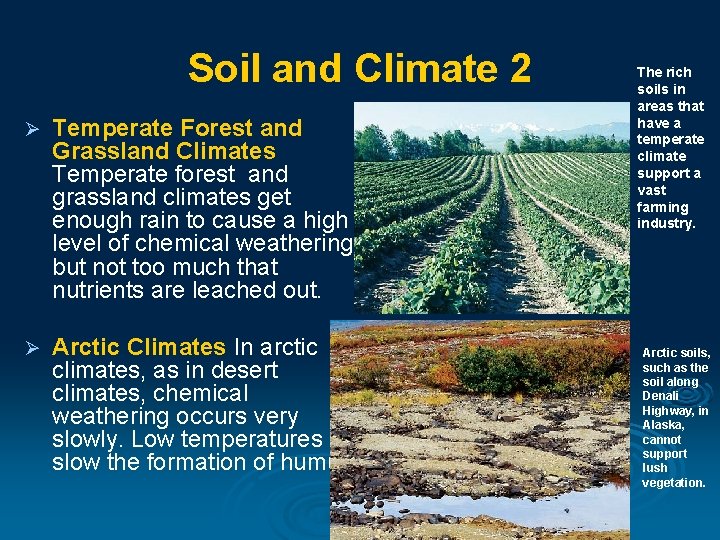 Soil and Climate 2 Ø Temperate Forest and Grassland Climates Temperate forest and grassland