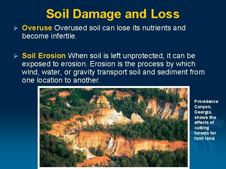Soil Damage and Loss Ø Overused soil can lose its nutrients and become infertile.