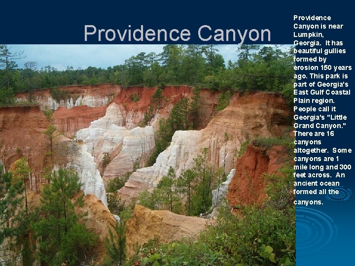 Providence Canyon is near Lumpkin, Georgia. It has beautiful gullies formed by erosion 150