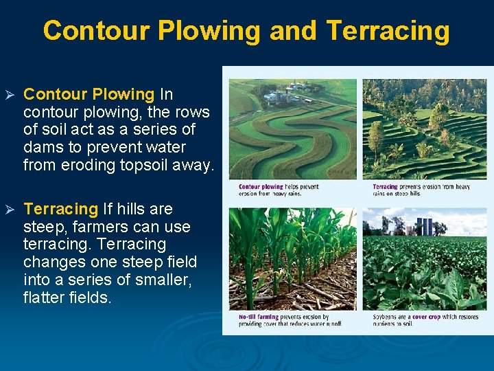 Contour Plowing and Terracing Ø Contour Plowing In contour plowing, the rows of soil