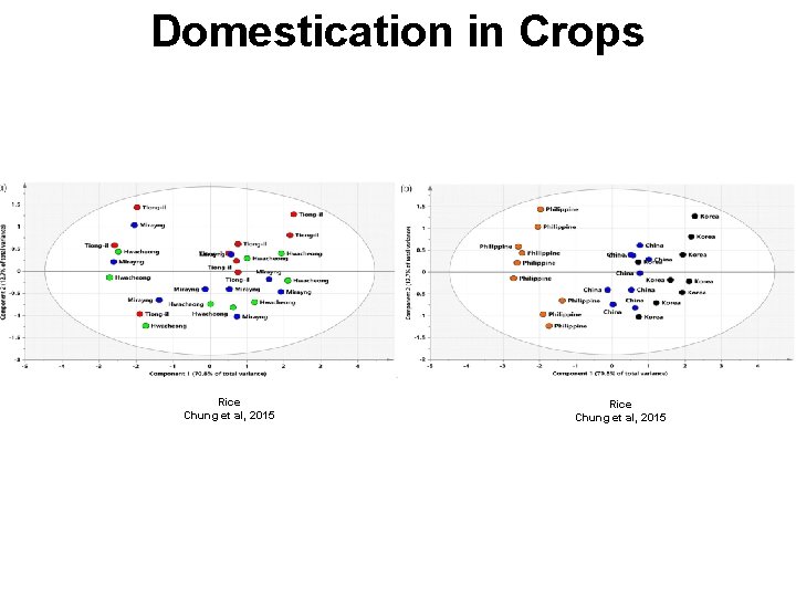 Domestication in Crops Rice Chung et al, 2015 