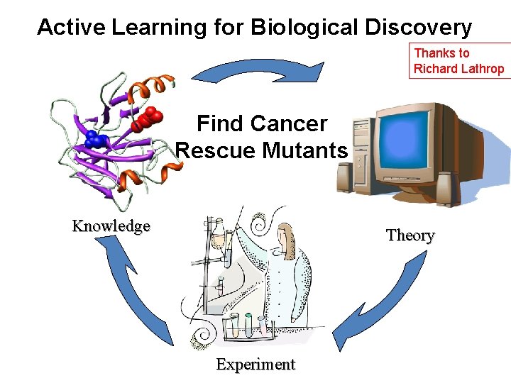 Active Learning for Biological Discovery Thanks to Richard Lathrop Find Cancer Rescue Mutants Knowledge