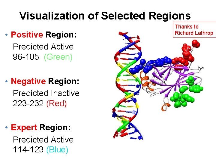 Visualization of Selected Regions • Positive Region: Predicted Active 96 -105 (Green) Thanks to