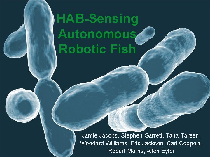HAB-Sensing Autonomous Robotic Fish Jamie Jacobs, Stephen Garrett, Taha Tareen, Woodard Williams, Eric Jackson,