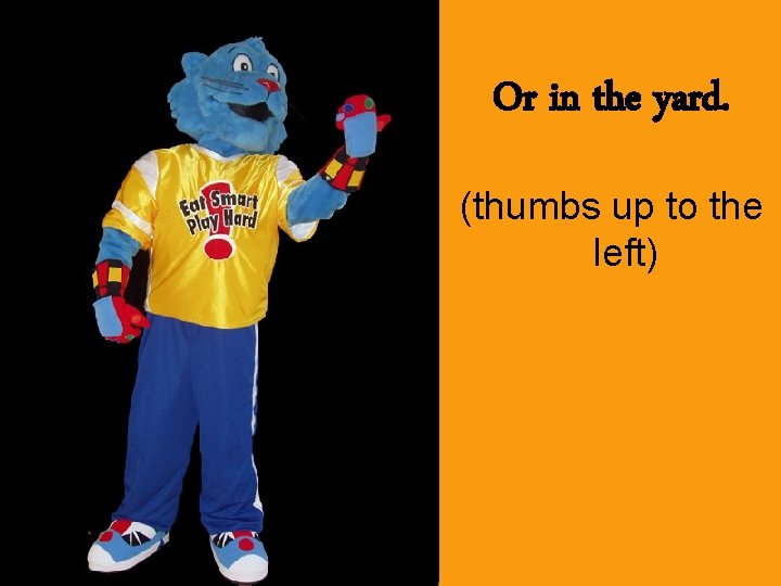 Or in the yard. (thumbs up to the left) 