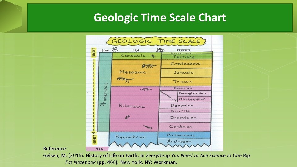 Geologic Time Scale Chart Reference: Geisen, M. (2016). History of Life on Earth. In