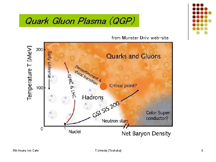 Quark Gluon Plasma (QGP) from Munster Univ. web-site 5 th Heavy Ion Cafe T.