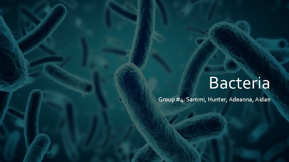 Bacteria Group #4: Sammi, Hunter, Adeanna, Aidan 