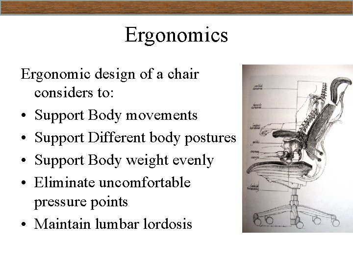 Ergonomics Ergonomic design of a chair considers to: • Support Body movements • Support