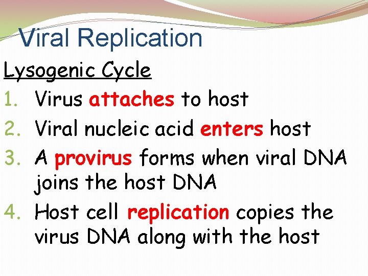 Viral Replication Lysogenic Cycle 1. Virus attaches to host 2. Viral nucleic acid enters