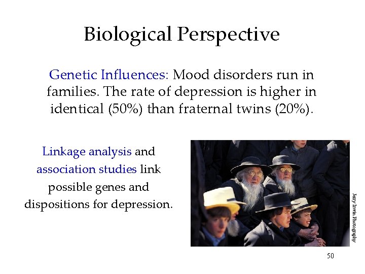 Biological Perspective Genetic Influences: Mood disorders run in families. The rate of depression is