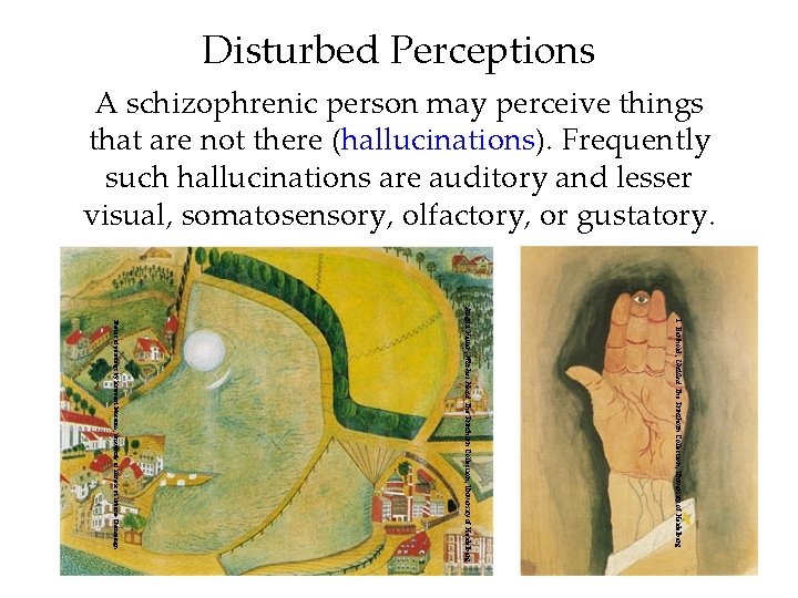 Disturbed Perceptions A schizophrenic person may perceive things that are not there (hallucinations). Frequently