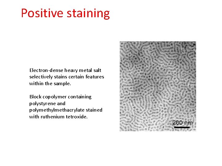 Positive staining Electron-dense heavy metal salt selectively stains certain features within the sample. Block