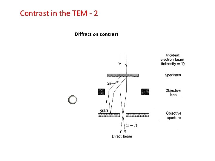 Contrast in the TEM - 2 Diffraction contrast 