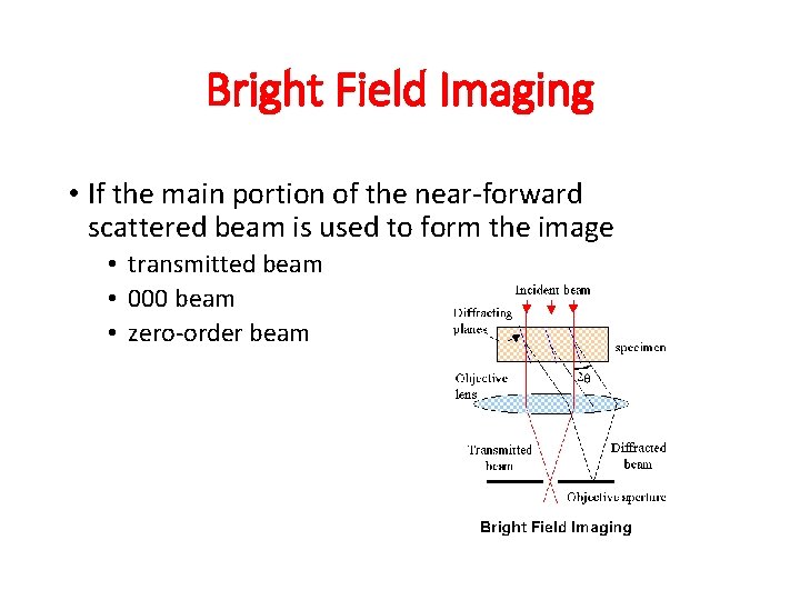 Bright Field Imaging • If the main portion of the near-forward scattered beam is