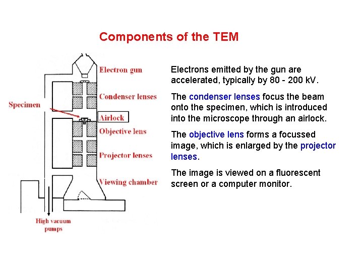 Components of the TEM Electrons emitted by the gun are accelerated, typically by 80