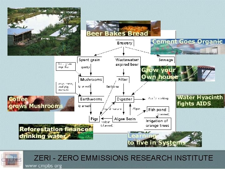 ZERI - ZERO EMMISSIONS RESEARCH INSTITUTE 