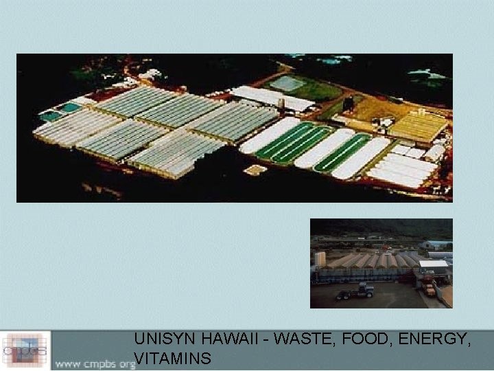 UNISYN HAWAII - WASTE, FOOD, ENERGY, VITAMINS 