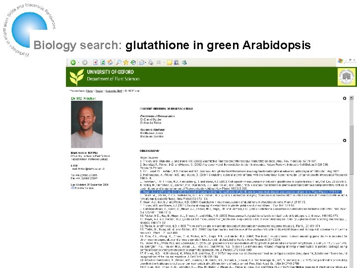 Biology search: glutathione in green Arabidopsis 