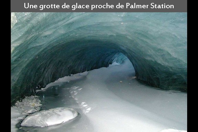 Une grotte de glace proche de Palmer Station 