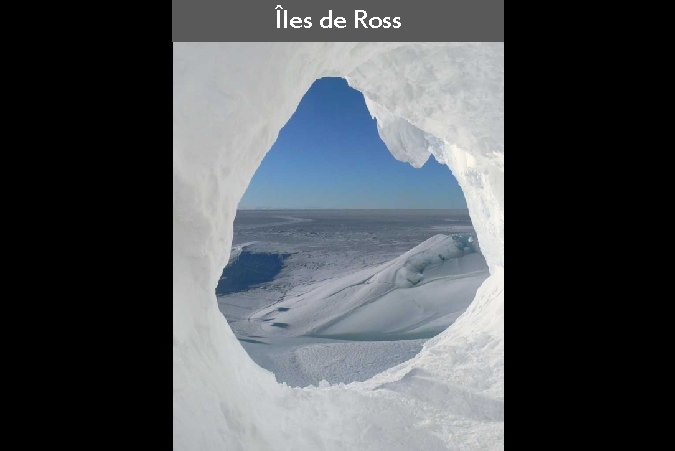 Îles de Ross 