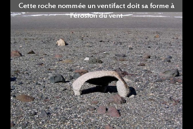 Cette roche nommée un ventifact doit sa forme à l’érosion du vent 