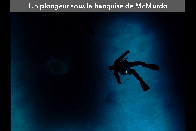 Un plongeur sous la banquise de Mc. Murdo 