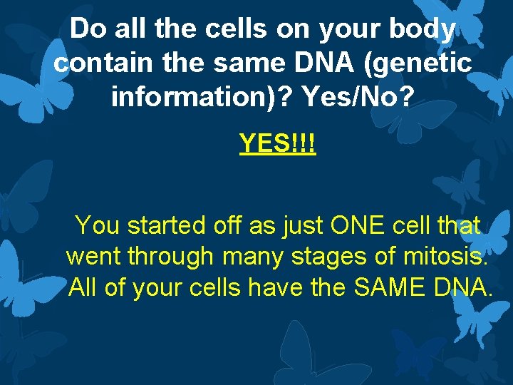 Do all the cells on your body contain the same DNA (genetic information)? Yes/No?