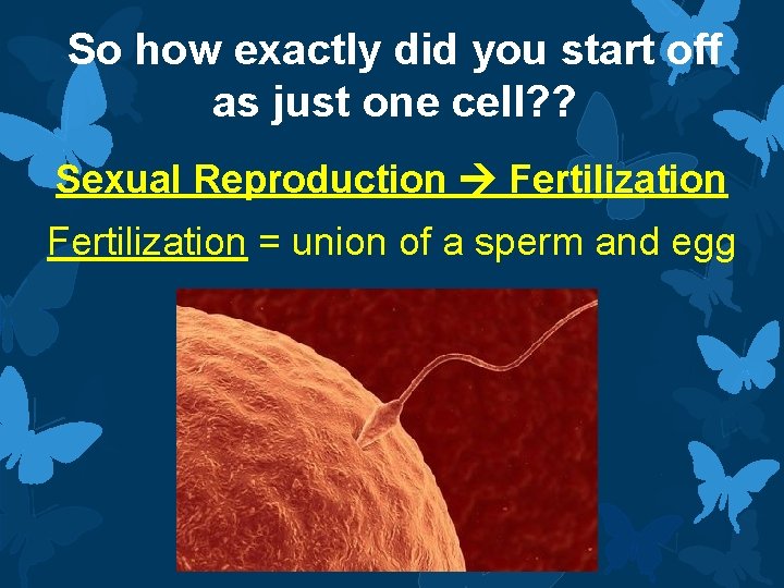 So how exactly did you start off as just one cell? ? Sexual Reproduction