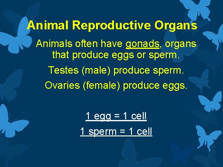 Animal Reproductive Organs Animals often have gonads, organs that produce eggs or sperm. Testes