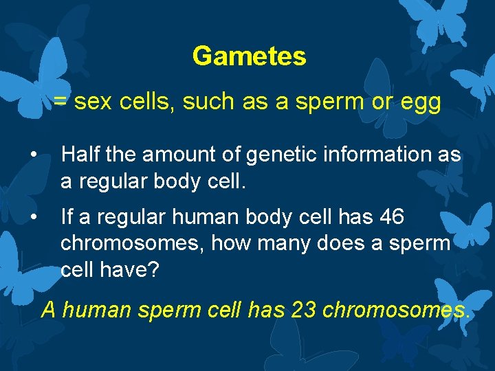 Gametes = sex cells, such as a sperm or egg • Half the amount