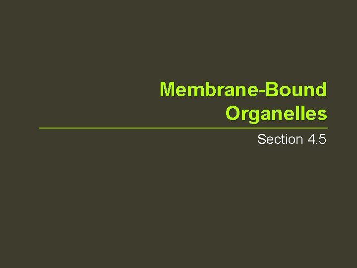 Membrane-Bound Organelles Section 4. 5 