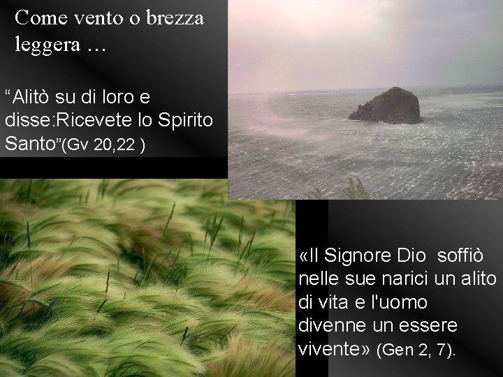 Come vento o brezza leggera … “Alitò su di loro e disse: Ricevete lo