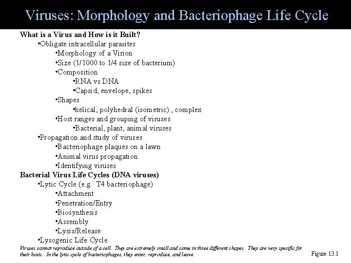 Viruses: Morphology and Bacteriophage Life Cycle What is a Virus and How is it